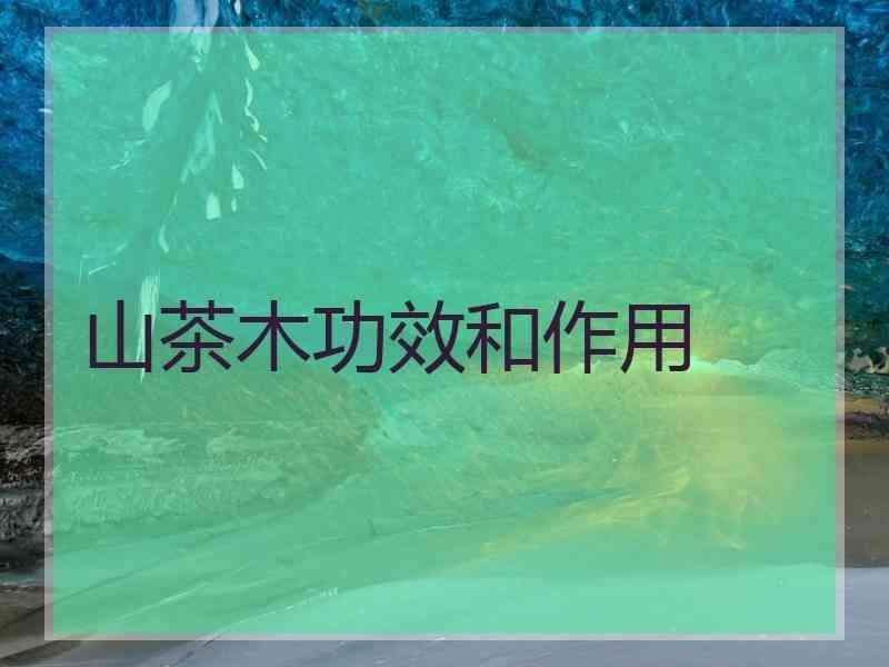 山茶木功效和作用_野生山茶叶的作用及效果