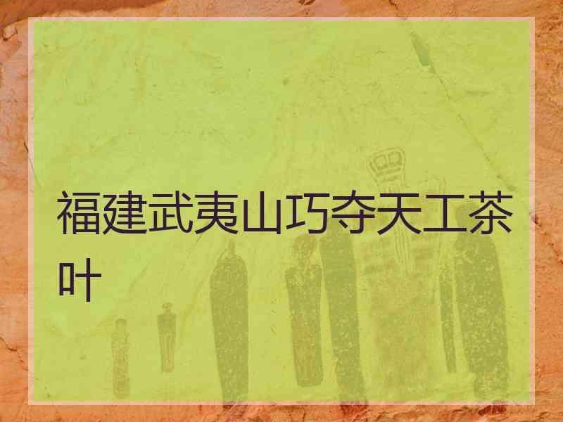 福建武夷山巧夺天工茶叶福建正能量群茶叶骗局